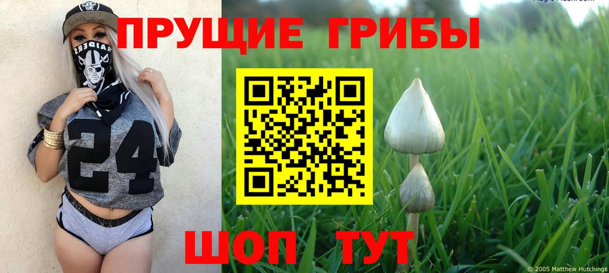 Галлюциногенные грибы Magic Shrooms  Вход с VPN  где можно купить наркотик  Снежинск  Галлюциногенные грибы GOLDEN TEACHER 